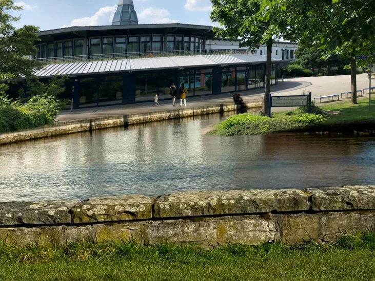»Der Fluss bin ich« auf TikTok